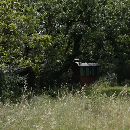 Roulotte Authentique Camping
